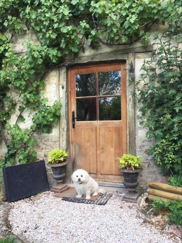 Le Clos De La Livre Bed & Breakfast Fontaine-sur-Ay Bagian luar foto