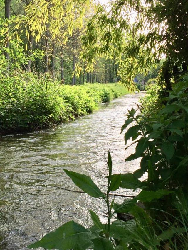 Le Clos De La Livre Bed & Breakfast Fontaine-sur-Ay Bagian luar foto